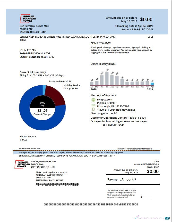download download USA Michigan electricity utility bill template in Word and PDF format PDF template PDF template
